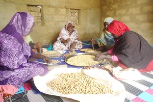 Premiers produits mauritaniens certifiés 