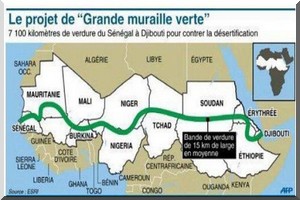 Sahel : le projet de la Grande muraille verte à moitié achevé