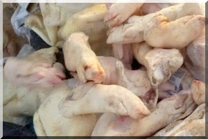 Tentative de commercialiser la viande de porc déjouée par la douane de Nouadhibou