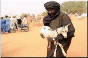 Un drame humanitaire presque oublié se joue autour des réfugiés maliens en Mauritanie !