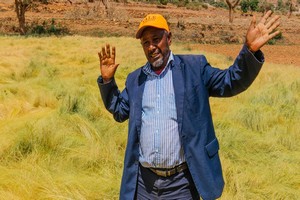 Éthiopie : un chef de village transforme sa région aride en oasis protégée des famines