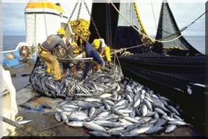 Création d’une commission parlementaire chargée de la surveillance de la pêche maritime 