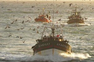 Renouvellement de l’accord de pêche mauritano-européen