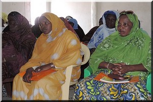 ADSIM /PESCC : pour la promotion des droits de la femme mauritanienne à Basra [PhotoReportage]
