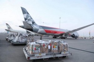 Covid-19/Mauritanie-Emirats arabes unis : un don de 18 tonnes de matériel médical et produits alimentaires