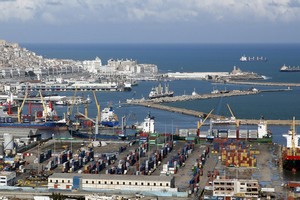 Algérie/Exportations: l’ANCA plaide pour des conventions avec les pays africains limitrophes 