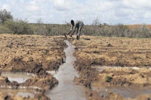 Agriculture : la Mauritanie mise sur une station de pompage sur le fleuve Sénégal