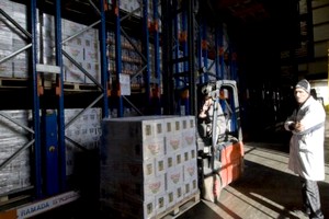 Quand les jeunes entrepreneurs algériens se tournent vers l’Afrique