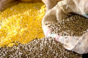 50.000 tonnes d’aliment de bétail sur le marché mauritanien 