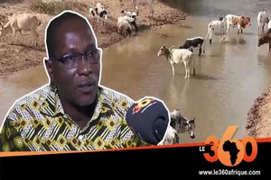 Vidéo. Mauritanie: quel est l'impact de la pandémie de Covid-19 sur le monde agro-pastoral?