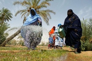 Aide allemande à des agriculteurs africains dont des mauritaniens