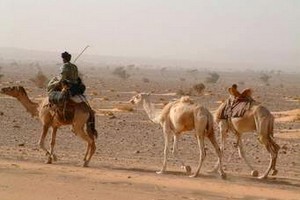 Monde rural : risques de lendemains difficiles et menace pressante de la sécheresse