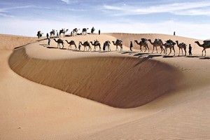 Sur la piste des découvreurs du Sahara