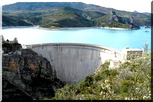 Financement de l’eau et protection de la ressource en Afrique de l’Ouest: Quel rôle pour les médias sous-régionaux