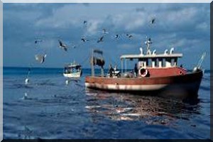 La pêche désormais dans l’ITIE : Il y a loin de la coupe… 