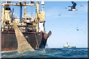 L’Afrique de l’Ouest sans défense face à la pêche illégale dans ses eaux territoriales