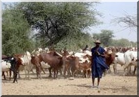 L’esclavage en Mauritanie, chez les hal-pulaar