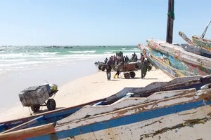 Biodiversité: La mer a besoin d’oxygène pour un foisonnement de la vie