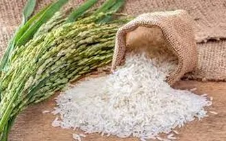 Santé: Les bienfaits du riz