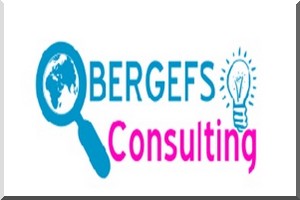 Session de formations au BERGEFS Consulting 