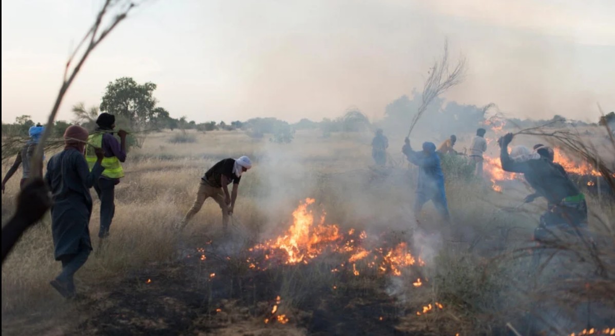 Communiqué de presse : la Brigade Anti-Feu de Mbera est lauréate régionale (Afrique) de la distinction Nansen 2022