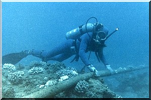 Un incident sur le câble sous-marin SAT entraîne de grosses perturbations sur le net ouest-africain 