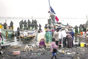 [Série 4/5] Sénégal: sur les routes de la campagne à… Saint-Louis