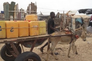 Les Canaries et la Mauritanie collaborent pour l’application des énergies renouvelables au dessalement