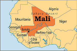 Un éleveur transhumant tué à bout portant et deux autres blessés par des agriculteurs maliens