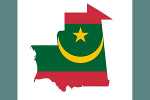 Aperçu sur les partis politiques en Mauritanie