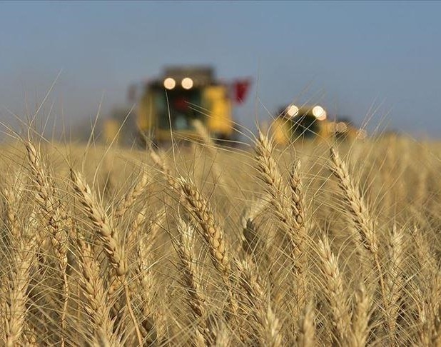 Le ministre russe de l'Agriculture annonce la livraison de 200 000 tonnes de céréales à 6 pays africains