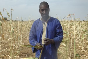 Portrait : Cheikh Tahar, un paysan engagé