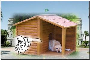 A la niche, vilain cabot !