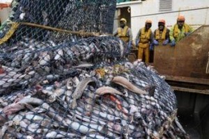 Exim Bank de Chine accorde un prêt de 84 millions $ pour la construction d’un port de pêche à Nouakchott