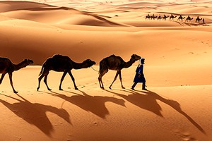 Mauritanie : 4 circuits dès mi-décembre 2017 pour Allibert Trekking