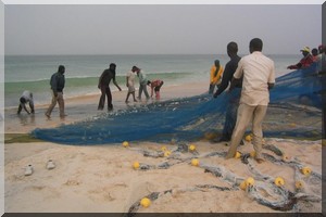 Pêche : Une nouvelle législation pour arrondir les angles entre Dakar et Nouakchott [Vidéo]