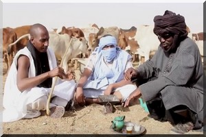 Walfadjiri revisite la célèbre chanson traditionnelle 