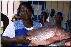 Déclaration de Bissau : Les femmes de la pêche artisanale proposent à l’Union Africaine de déclarer l’année 2016 « Année Africaine de la Pêche artisanale »