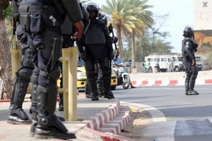 Saisie record de 3,2 tonnes de chanvre indien par la gendarmerie sénégalaise