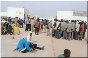 Les dockers de Nouakchott : une triste réalité et une crise aiguë 