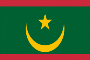 Mauritanie : le changement de drapeau et la suppression du Sénat sont officiels 