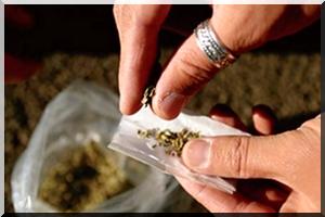 La plus grande affaire de drogue close sans procès : Quand l’impunité est érigée en règle de conduite