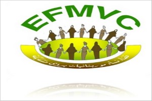 Espace femmes mauritaniennes à visions croisées (EFMVC): Déclaration 