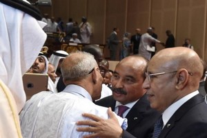 Les Emirats allouent deux milliards de dollars à la Mauritanie et poussent leurs pions en Afrique