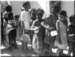 La pression du terrorisme appauvrit la population du Sahel