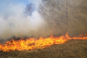 Hodh Charghi, incendies dans les pâturages : un mort et deux blessés