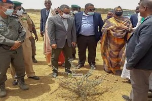 La ministre de l’environnement : « la Mauritanie perd annuellement 46.000 hectares de forêts »