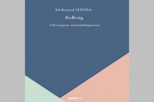 Bolletig, essai sur la politique de Sneiba Mohamed