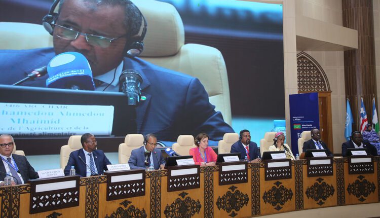 Clôture de la 34ᵉ session de la Conférence régionale de la FAO pour l’Afrique