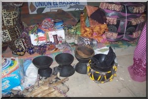 Femme et Développement : la Guidimakhanké au rendez-vous